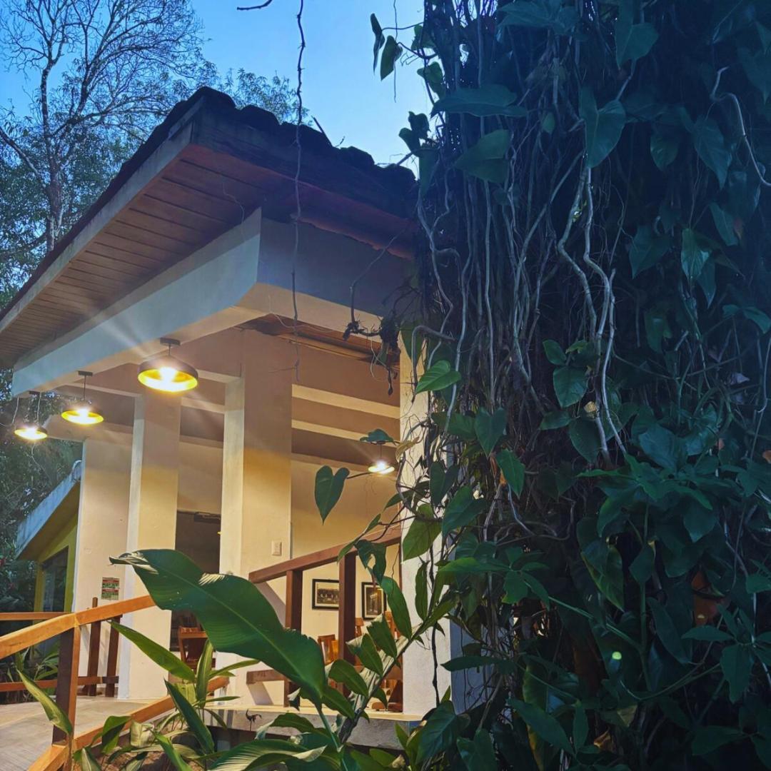 Hotel La Aldea Del Halach Huinic بالينكو المظهر الخارجي الصورة