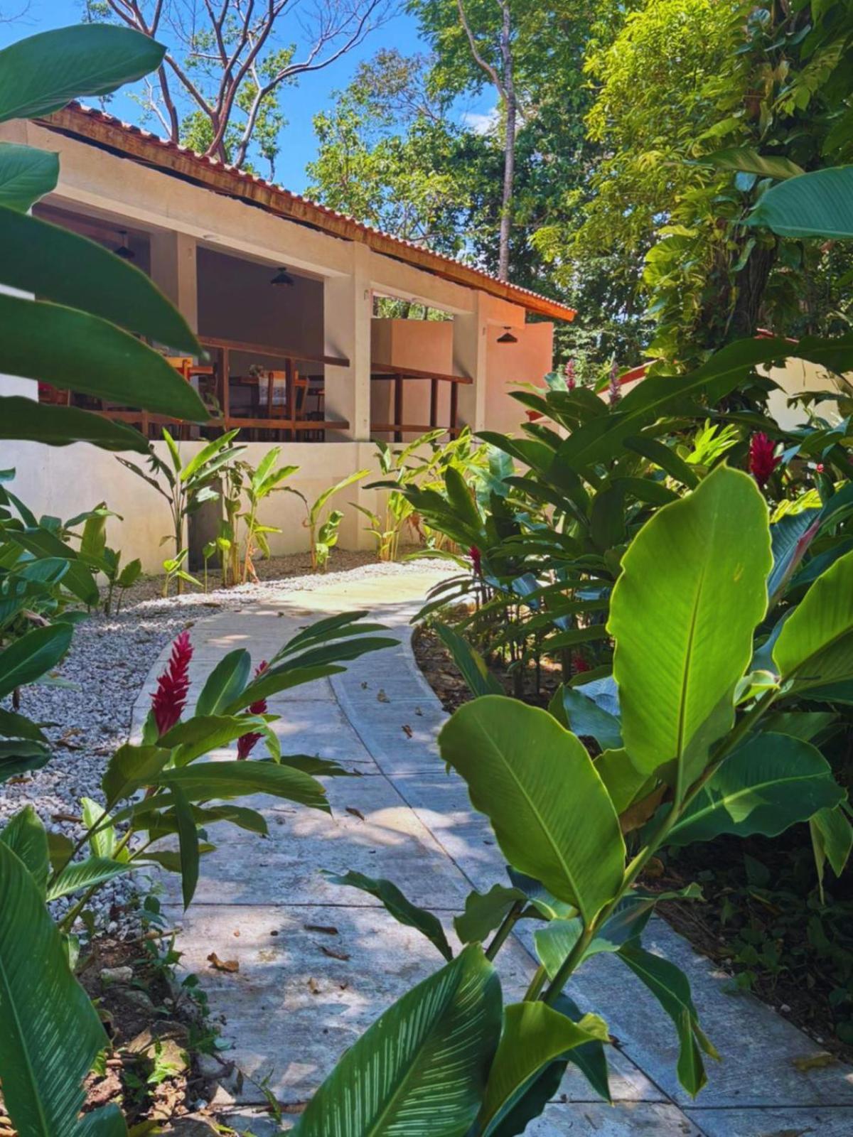 Hotel La Aldea Del Halach Huinic بالينكو المظهر الخارجي الصورة